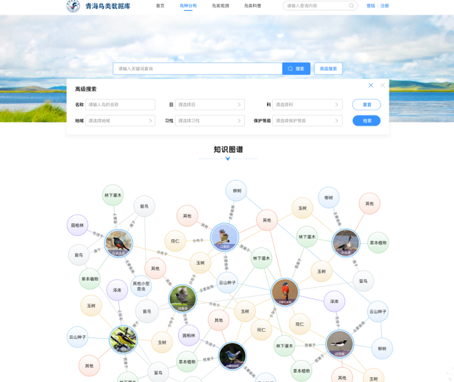 青海鳥類資源庫(kù)網(wǎng)站交互及UI設(shè)計(jì)